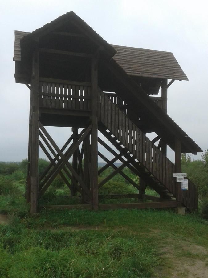 Апартаменты Kwatera na Bagnach Osowiec-35
