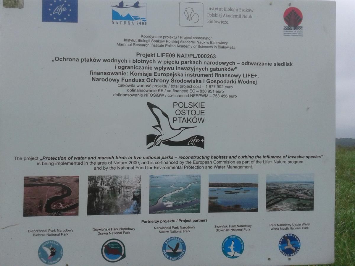 Апартаменты Kwatera na Bagnach Osowiec-36