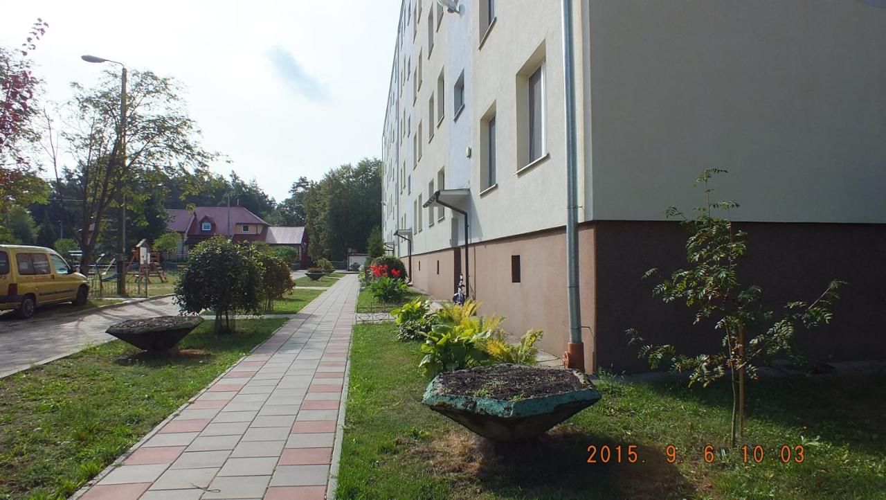 Апартаменты Kwatera na Bagnach Osowiec-10