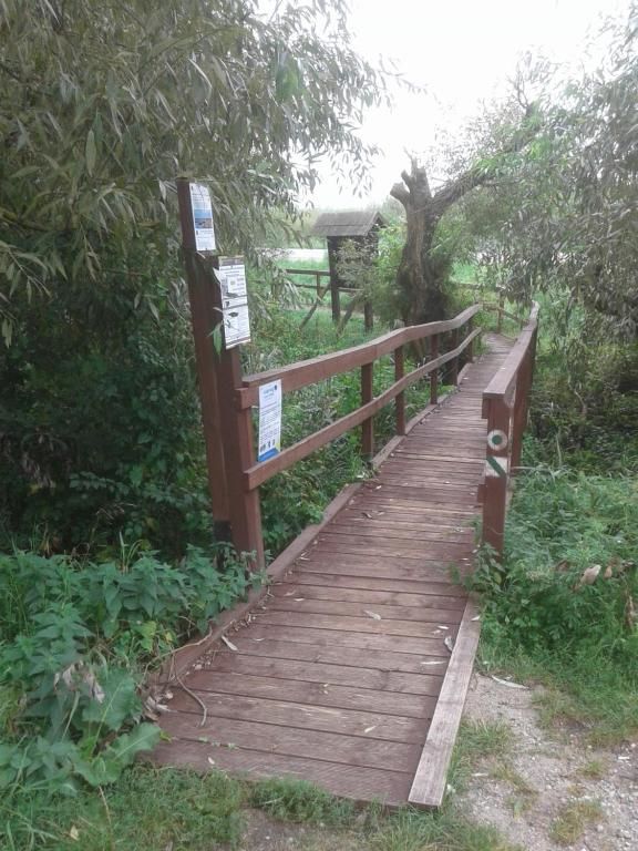 Апартаменты Kwatera na Bagnach Osowiec-81